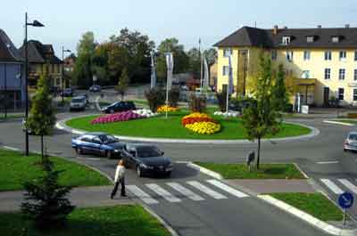 Chrysantema 2006